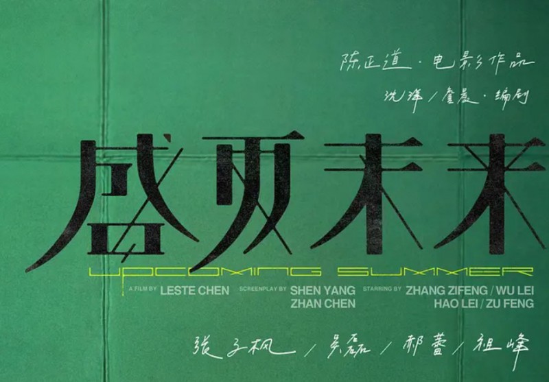 盛夏未来结局解析，陈辰和郑宇星最后在一起了吗