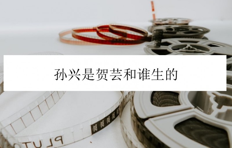 扫黑风暴孙兴是贺芸和谁生的，孙兴身世背景详解