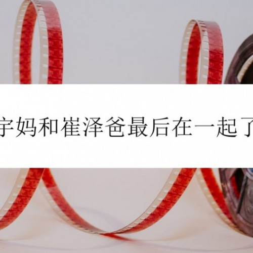 请回答1988善宇妈和崔泽爸最后在一起了吗，人物结局剧情一览