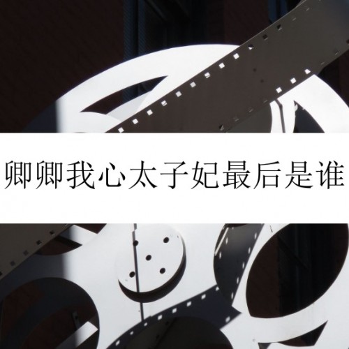 卿卿我心太子妃最后是谁，电视剧结局剧情一览